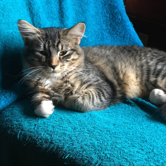 Meet your Posher, Maria - Picture 1 of 1